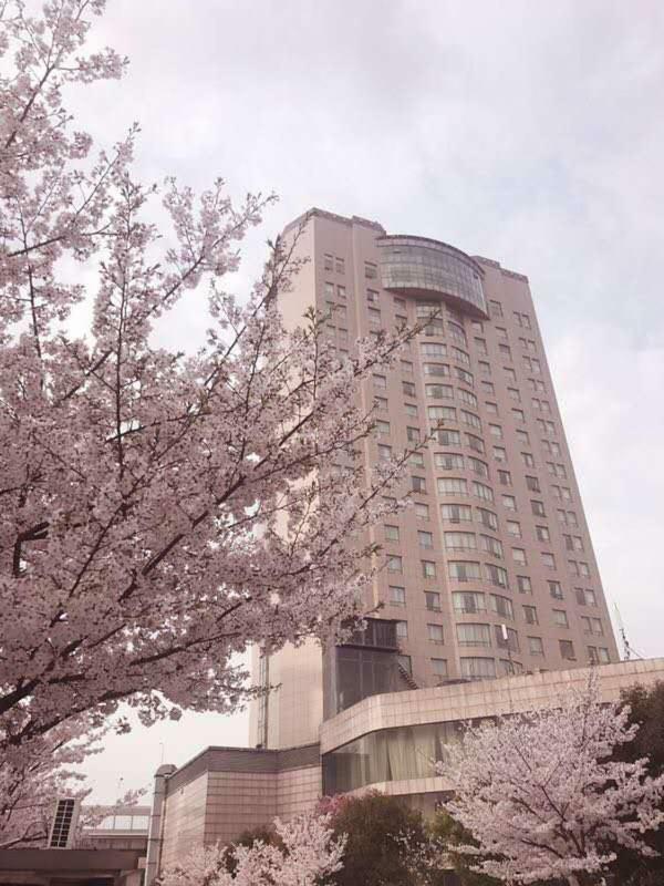 Xiongchu International Hotel Wuhan Esterno foto